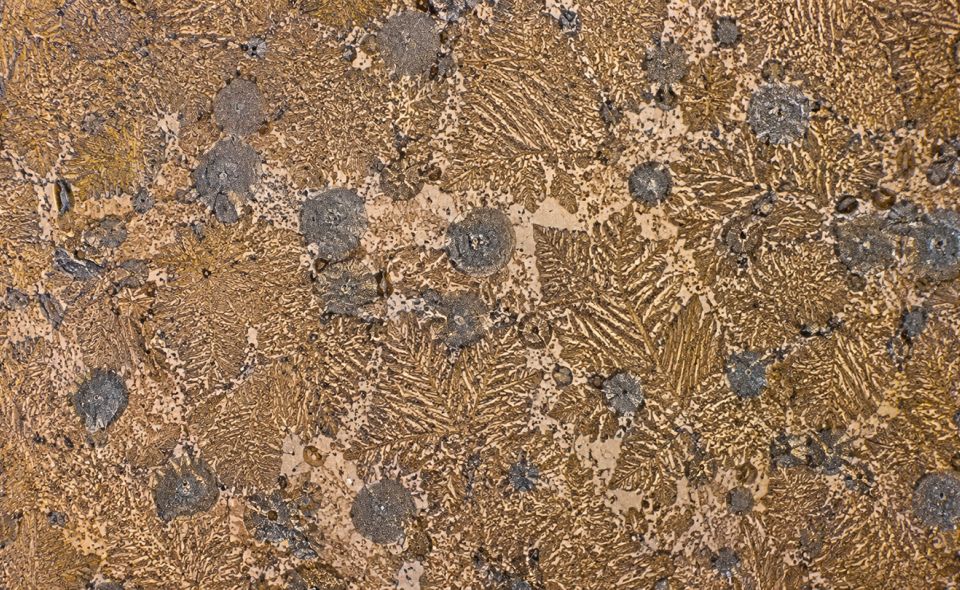 SRI - Produits et Alliages - Micrographie d'un alliage de Bronze